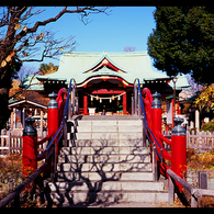 フィルムで撮った亀戸天神社