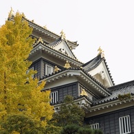 岡山城