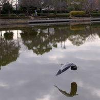 年の瀬