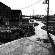白い道