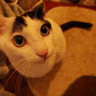 IMG_0958-2
