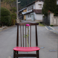 芍薬と椅子