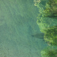 緑映