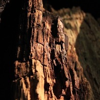 IMG_2933