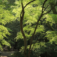 水谷神社への参道