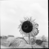 2011.07