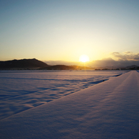 赤雪