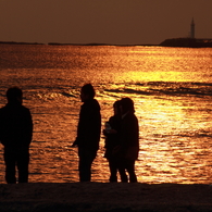 golden dream...