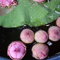 P1060313