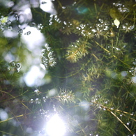 P1060510