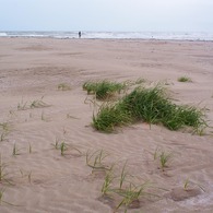 浜辺