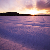 雪融け進む夕暮れ