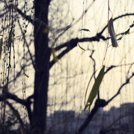 亜麻色　-amairo-