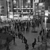 Shinjuku at Night #24