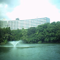 井の頭公園