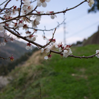 IMGP0903