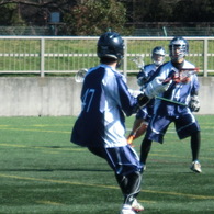 地区交流戦2012