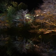 京都スナップ　臥龍池　高台寺