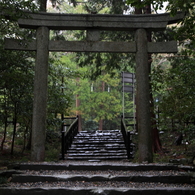 雨の弥彦