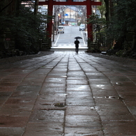 雨の正門鳥居