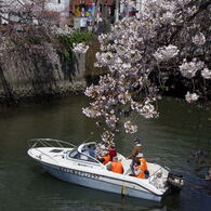 大岡川10
