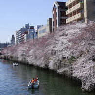 大岡川１