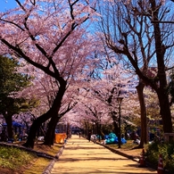錦糸公園