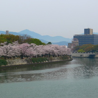 P1080329