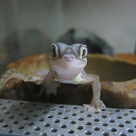 こんにちわ！