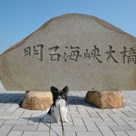 photo_1745917