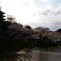 三重の塔