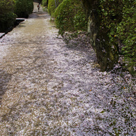 長岳寺・参道
