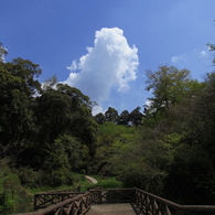 春空