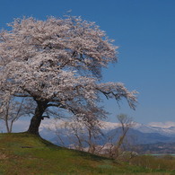 蔵王連峰