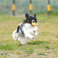 photo_1762365