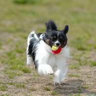 photo_1762372