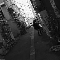 Alley in the Morning