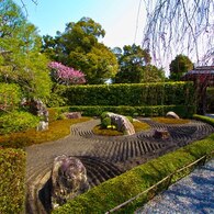 妙心寺　元信の庭３