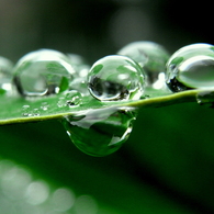 水玉