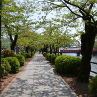 小田原城外堀
