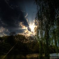 善福寺公園、昨日の夕焼け