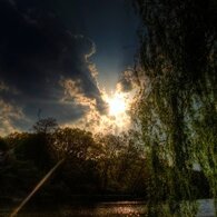 善福寺公園昨日の夕焼け２