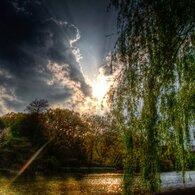 善福寺公園夕日三枚目