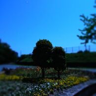 なかよし。