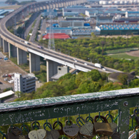 IMGP5084