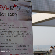 IMGP5140