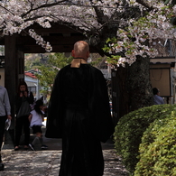 福聚寺正門　住職と桜