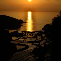 Rice Terraces of the evening(Wide mode)