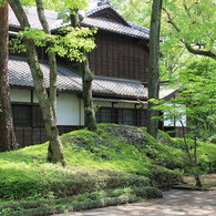 天気がいいと緑が綺麗