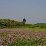 2012/5/5　備中国分寺